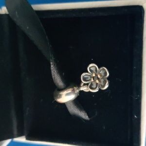 Pandora charm